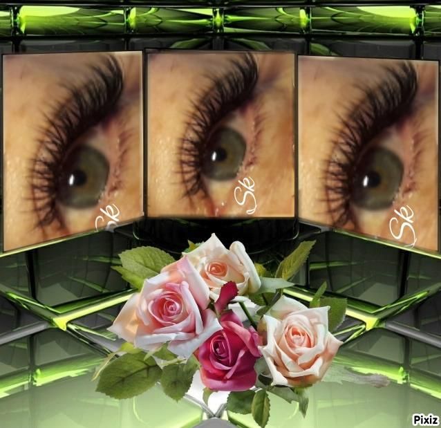 Photo d'illustration 1 sur 5