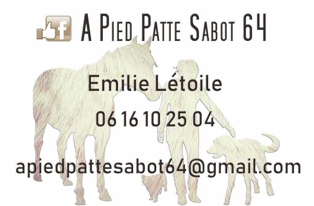 Photo d'illustration 1 sur 2