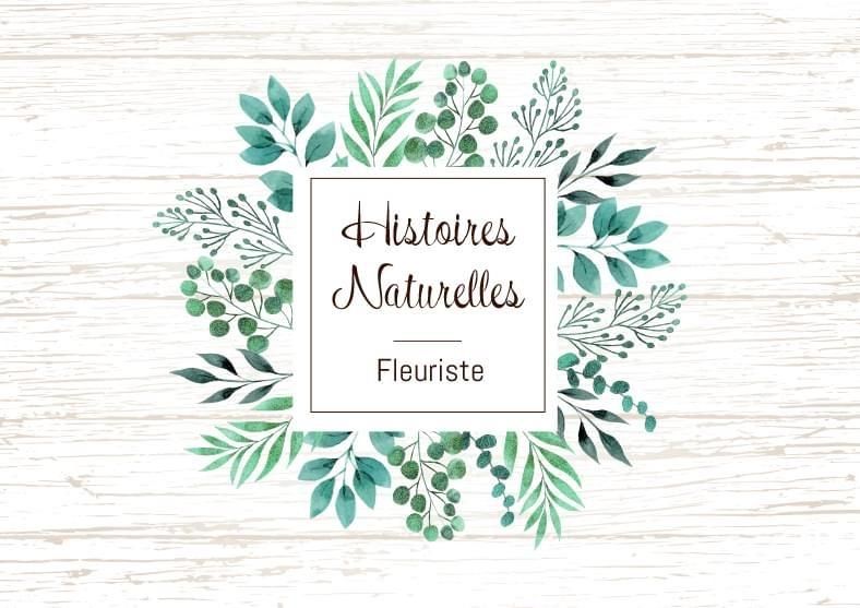 Photo d'illustration 1 sur 1