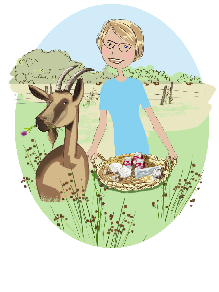 Photo d'illustration 3 sur 3