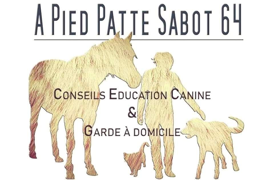 Photo d'illustration 1 sur 4