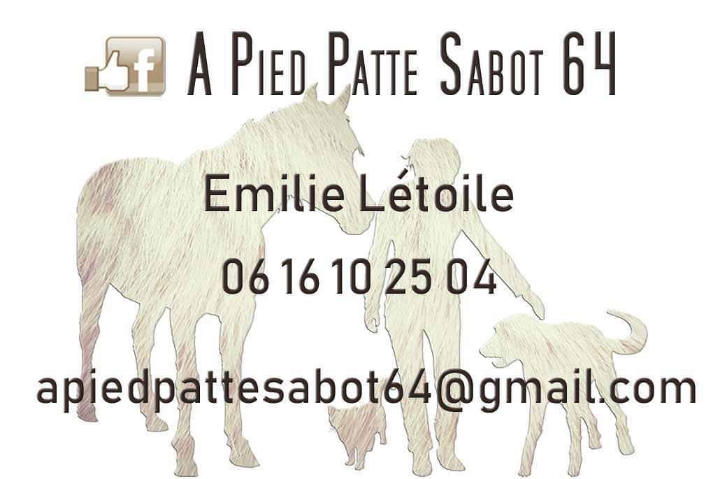 Photo d'illustration 2 sur 4