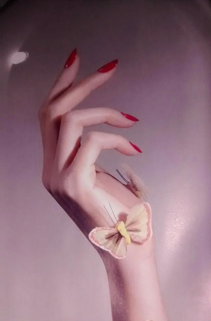Photo d'illustration 1 sur 1
