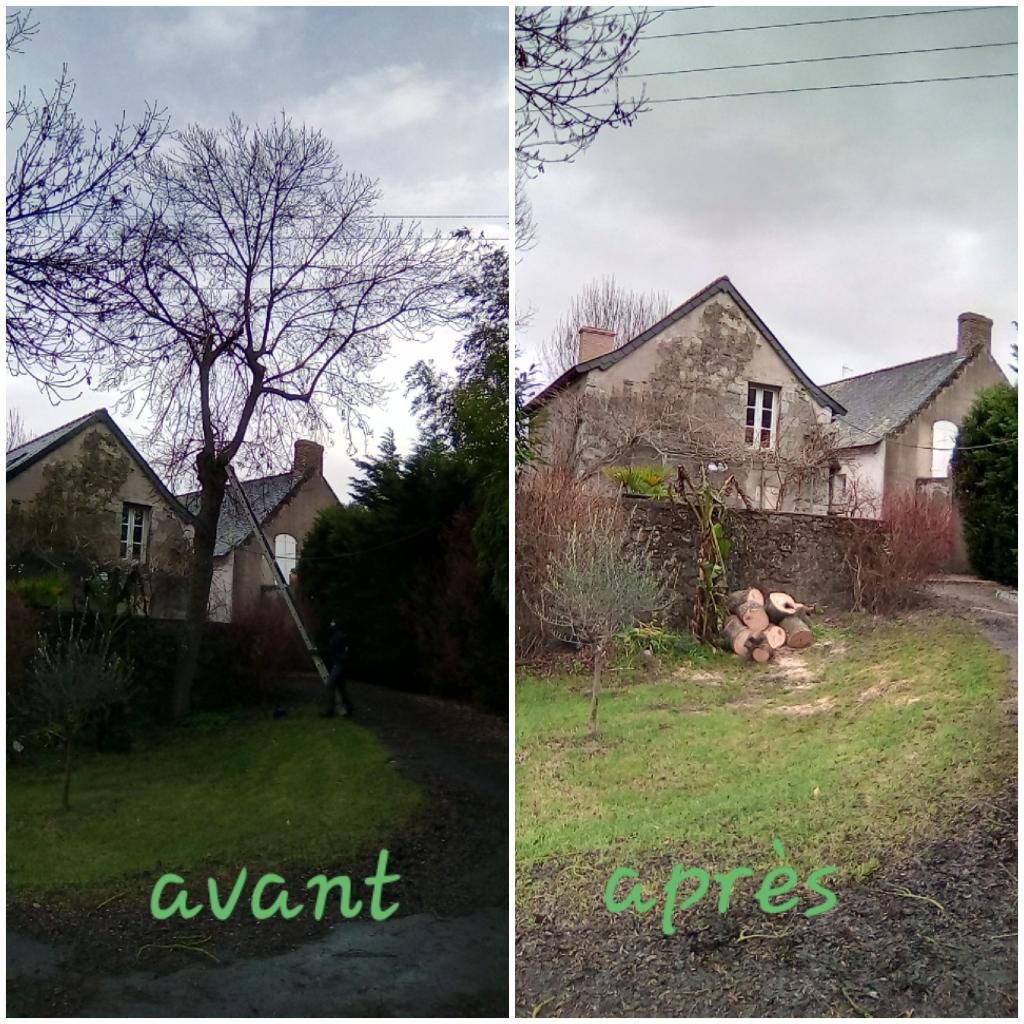 Photo d'illustration 4 sur 11