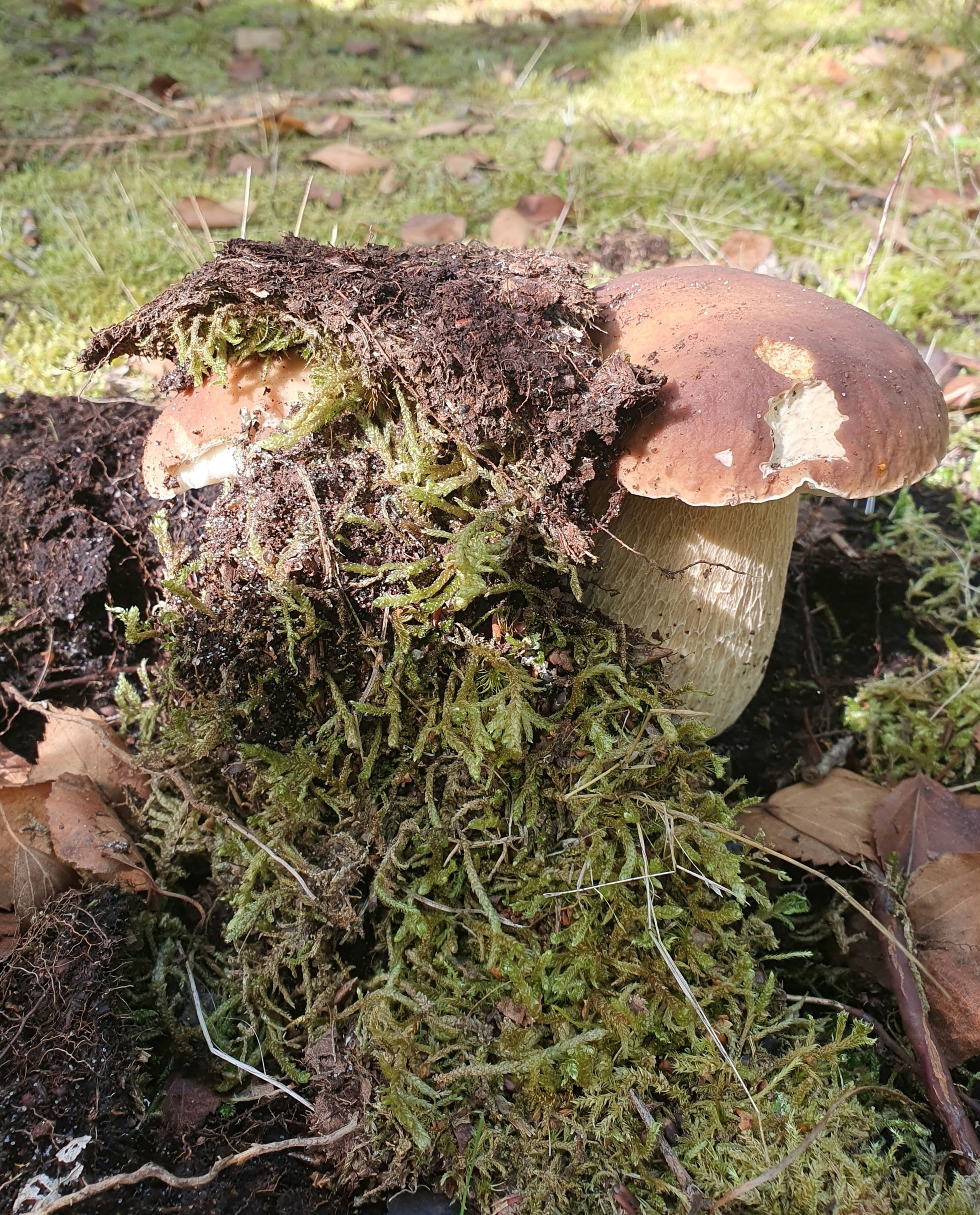 Photo d'illustration 4 sur 4