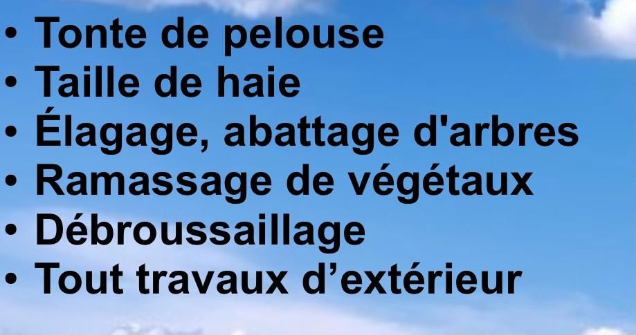 Photo d'illustration 1 sur 4