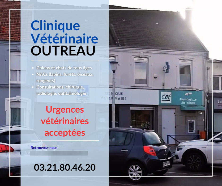 Photo d'illustration 4 sur 5