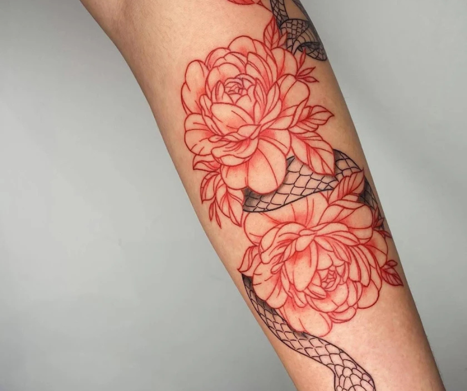 Photo d'illustration 1 sur 6