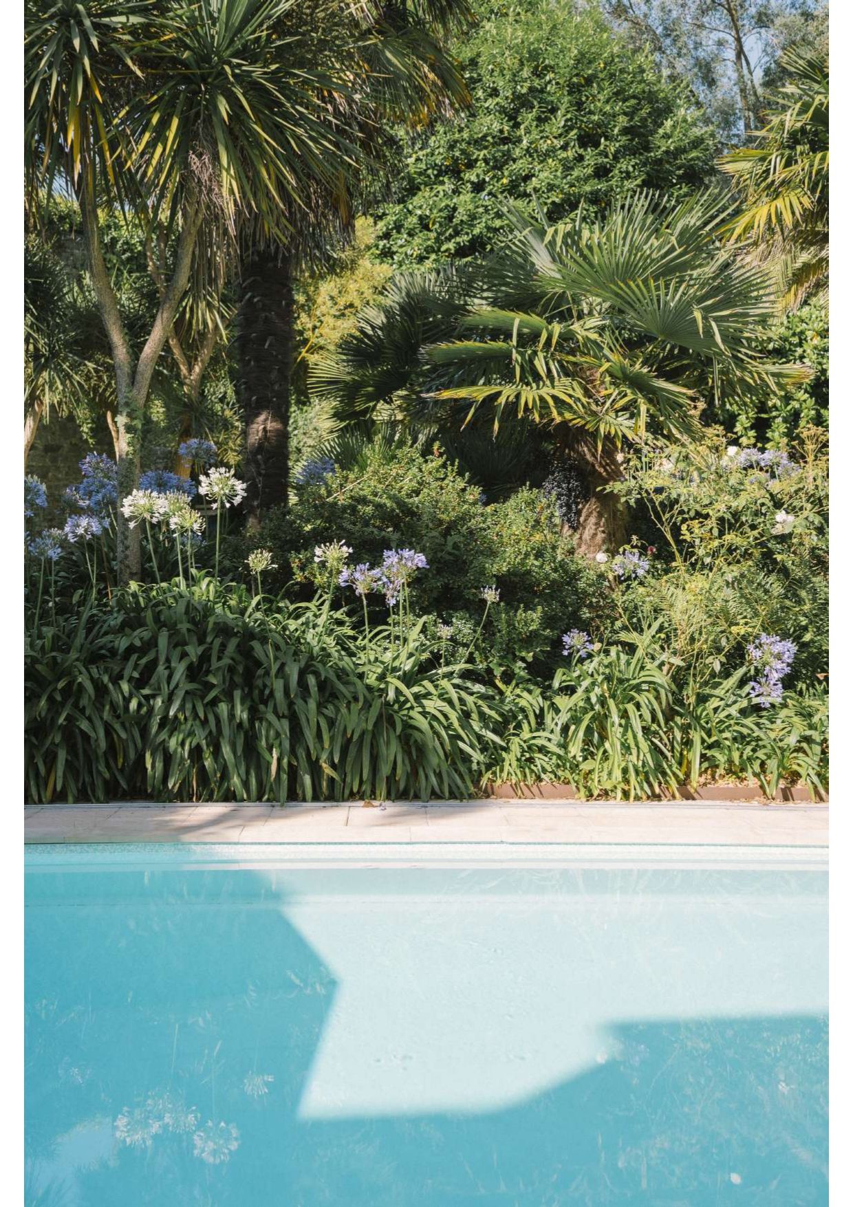 Photo d'illustration 4 sur 4